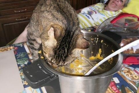 Cliquez pour zoomer ! Purée de potimarron au chorizo Thermomix par bussa