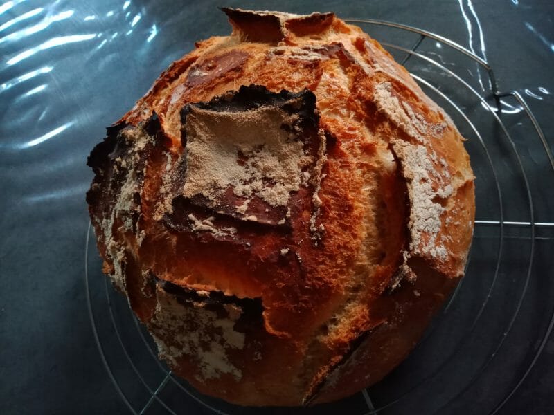 Cliquez pour zoomer ! Pain Cocotte Thermomix par Malone.24