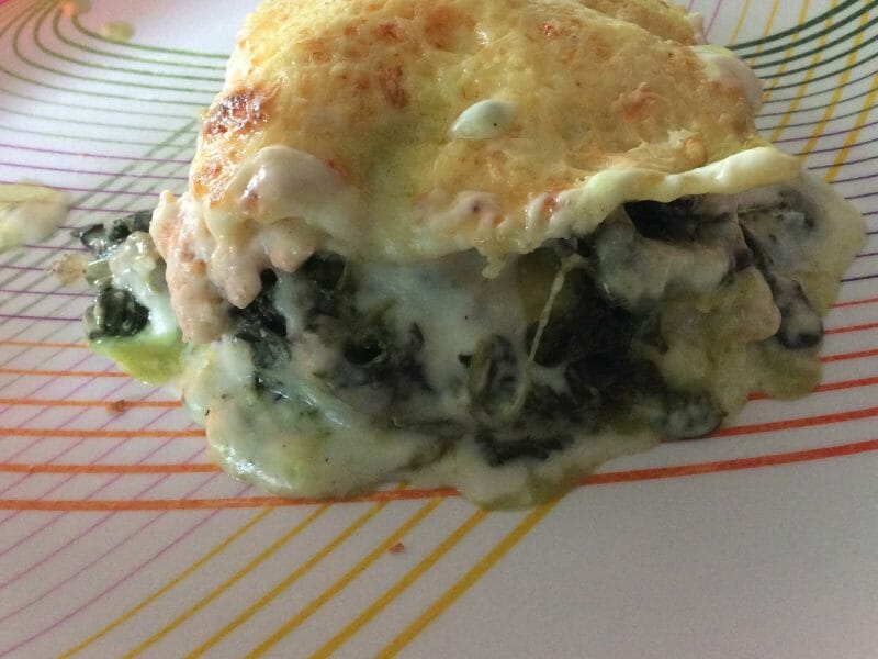 Cliquez pour zoomer ! Lasagnes au saumon et poireaux Thermomix par Dweelves