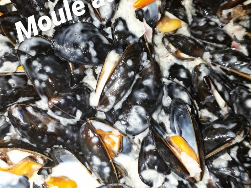 Cliquez pour zoomer ! Moules sauce au roquefort Thermomix par emmasavand