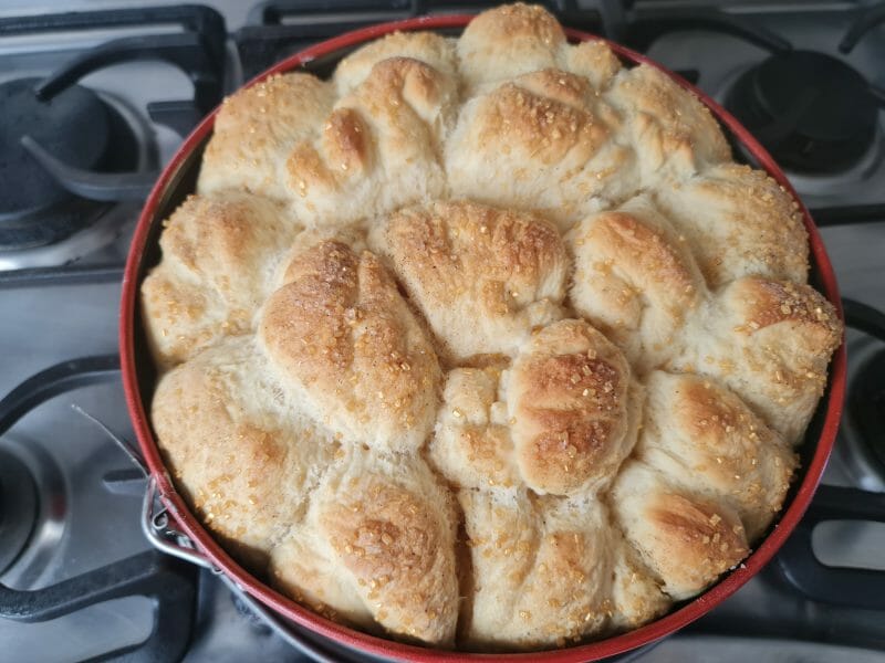 Cliquez pour zoomer ! Brioche Buchty Thermomix par Emilie D