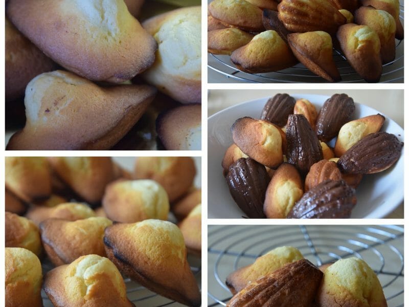 Cliquez pour zoomer ! Madeleines Thermomix par mumu1911