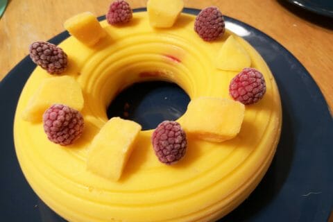 Cliquez pour zoomer ! Bûche glacée mangue et framboise Thermomix par paulite1108