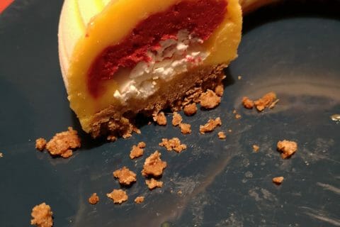 Cliquez pour zoomer ! Bûche glacée mangue et framboise Thermomix par paulite1108