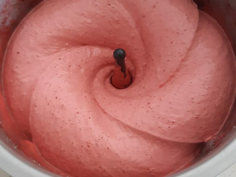 Cliquez pour zoomer ! Sorbet aux mûres Thermomix par arcacia
