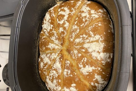 Cliquez pour zoomer ! Pain Cocotte Thermomix par elo61410