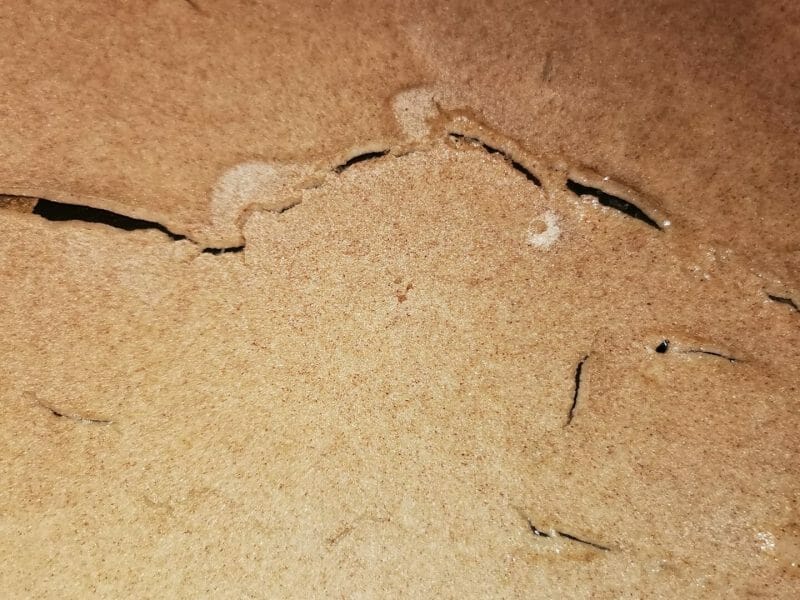 Cliquez pour zoomer ! Galettes de sarrasin Thermomix par popo33400