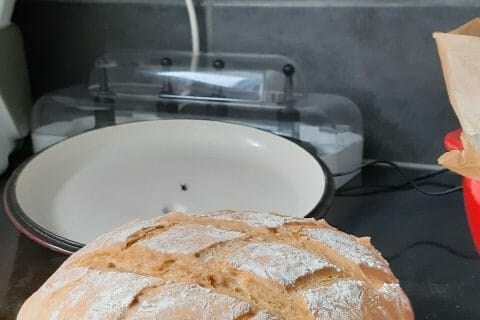 Cliquez pour zoomer ! image-eae7c33f-0a9f-4410-9072-97423fcc960c