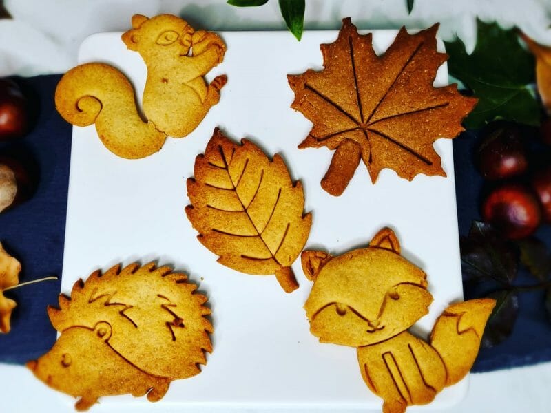 Cliquez pour zoomer ! Sablés rennes de Noël Thermomix par fit_and_gourmandise