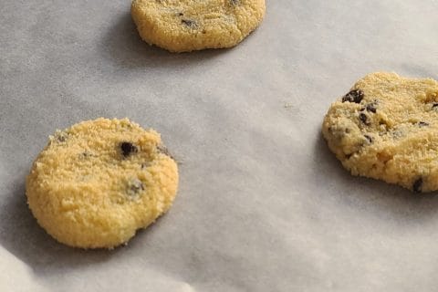 Cliquez pour zoomer ! Cookies à la noix de coco et pépites de chocolat Thermomix par Éloïse