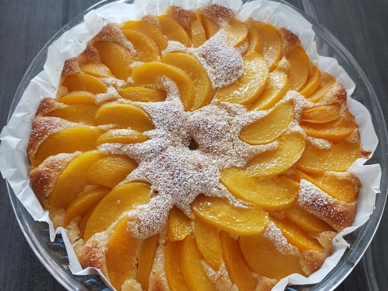 Gateau Moelleux Aux Abricots Au Thermomix Cookomix Gateau Moelleux Aux Abricots Au Thermomix Cookomix