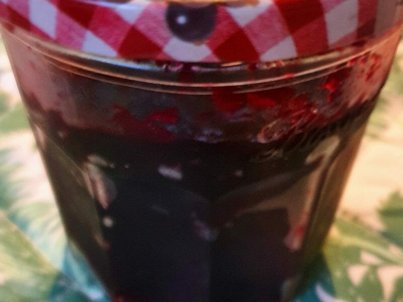 Confiture de myrtilles au Thermomix - Cookomix