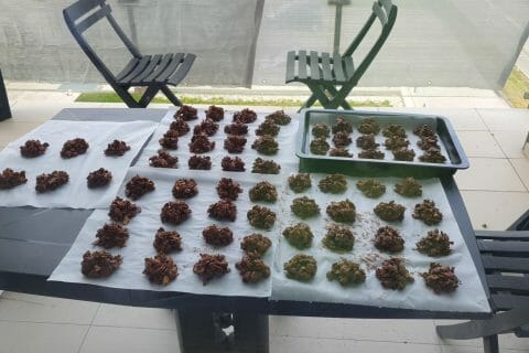 Cliquez pour zoomer ! Roses des sables Thermomix par katiam86