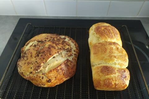 Cliquez pour zoomer ! Brioche Buchty Thermomix par sebounix83