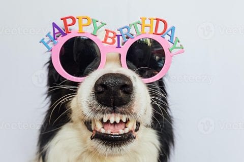 Cliquez pour zoomer ! Photo de Yowlysun