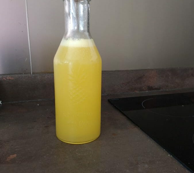 Cliquez pour zoomer ! Orangina maison Thermomix par Olival