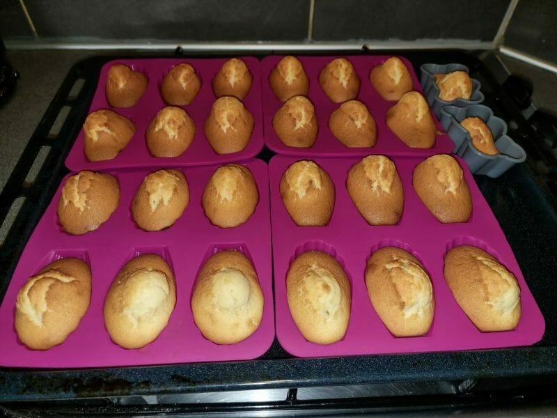 Cliquez pour zoomer ! Madeleines Thermomix par rihabe