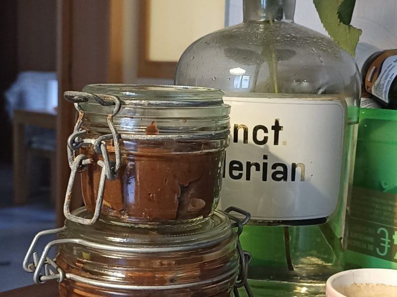 Cliquez pour zoomer ! Pâte à tartiner choco-noisettes et dattes Thermomix par systo