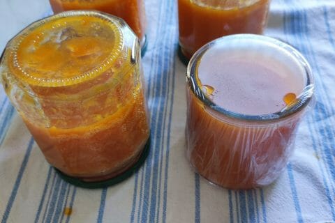 Cliquez pour zoomer ! Confiture d’abricots Thermomix par capucine80