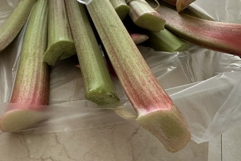 Cliquez pour zoomer ! Compote de rhubarbe Thermomix par Magwem