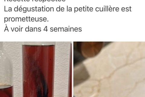 Cliquez pour zoomer ! Le cookie géant Thermomix par Magwem