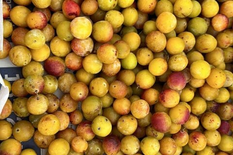 Cliquez pour zoomer ! Confiture de mirabelles Thermomix par Magwem