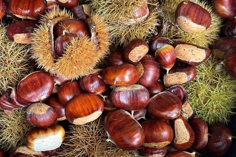 Cliquez pour zoomer ! Crème de marrons Thermomix par Magwem