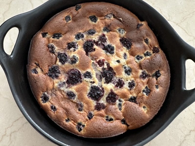 Cliquez pour zoomer ! Clafoutis aux mûres sauvages Thermomix par Magwem