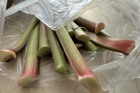 Cliquez pour zoomer ! Cobbler à la rhubarbe Thermomix par Magwem