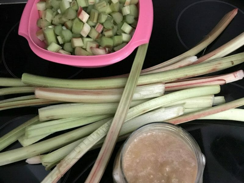 Cliquez pour zoomer ! Compote de rhubarbe Thermomix par Magwem