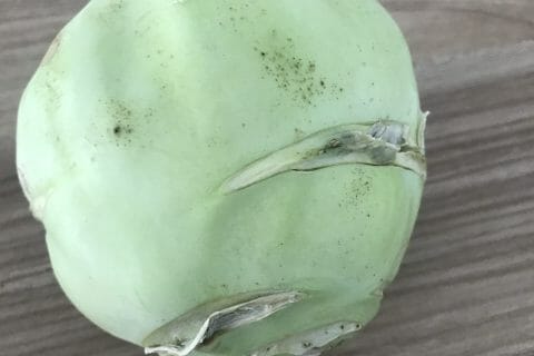 Cliquez pour zoomer ! Photo de Magwem Thermomix par Magwem