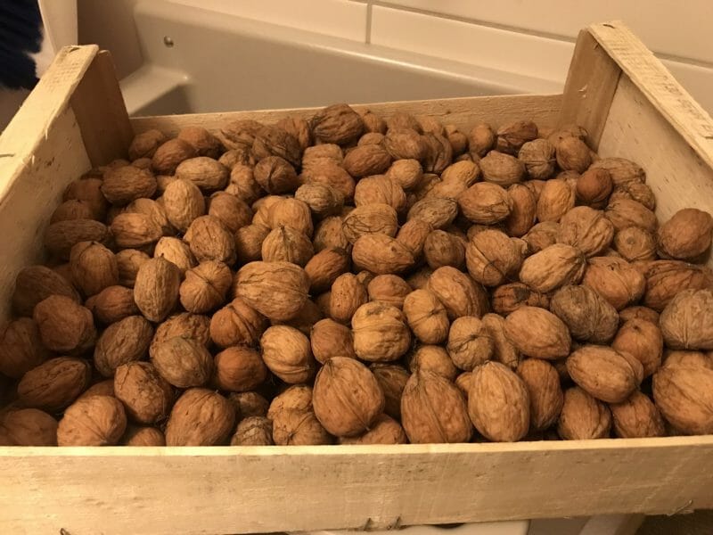 Cliquez pour zoomer ! Photo de Magwem Thermomix par Magwem