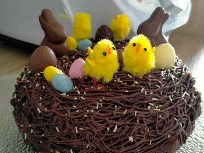Cliquez pour zoomer ! Nids de Pâques Thermomix par Dgidgi
