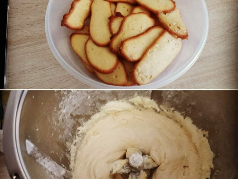 Cliquez pour zoomer ! Langues de chat Thermomix par sabiphilou1201