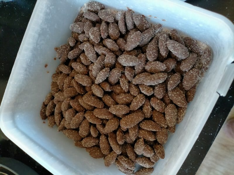 Cliquez pour zoomer ! Amandes au chocolat Thermomix par dinoutout45