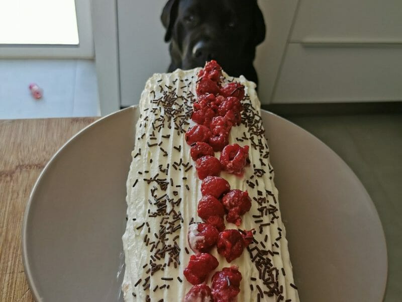 Cliquez pour zoomer ! Fraisier roulé Thermomix par ktine