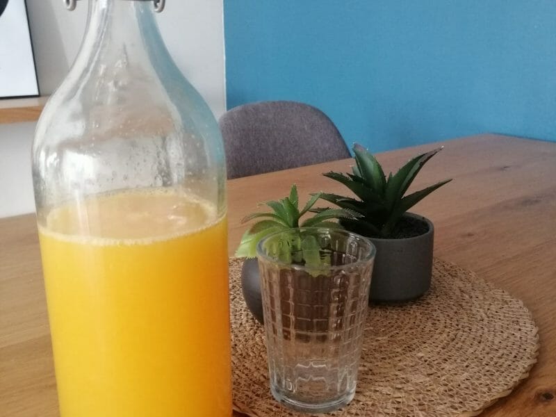 Cliquez pour zoomer ! Jus de fruits ACE Thermomix par kaks47