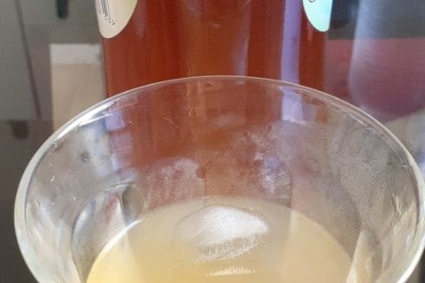 Cliquez pour zoomer ! Sirop de thé glacé – Ice tea citron menthe Thermomix par lenkeke241117