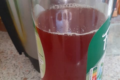 Cliquez pour zoomer ! Sirop de thé glacé – Ice tea citron menthe Thermomix par lenkeke241117