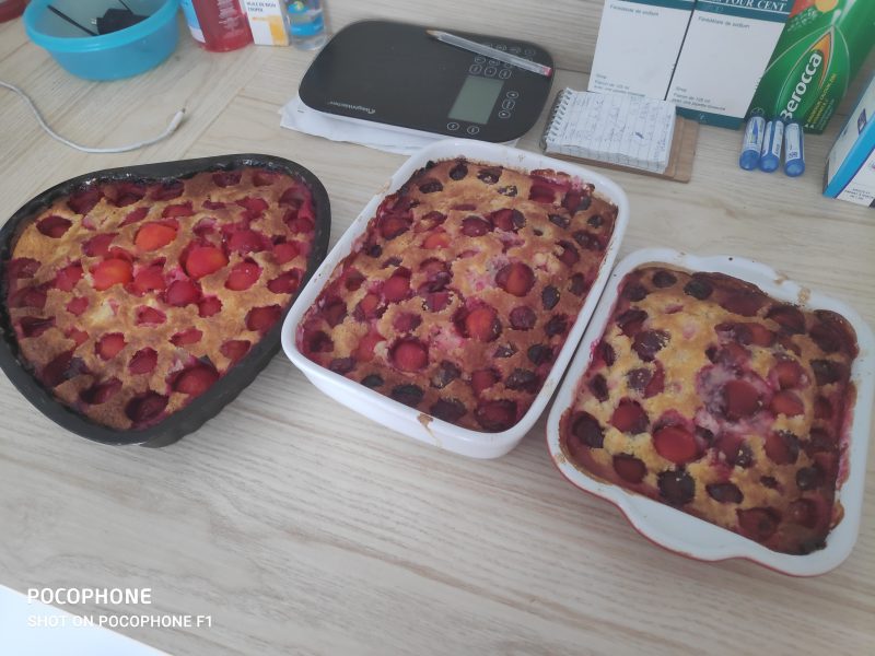Cliquez pour zoomer ! Clafoutis aux mirabelles Thermomix par matnanou1369