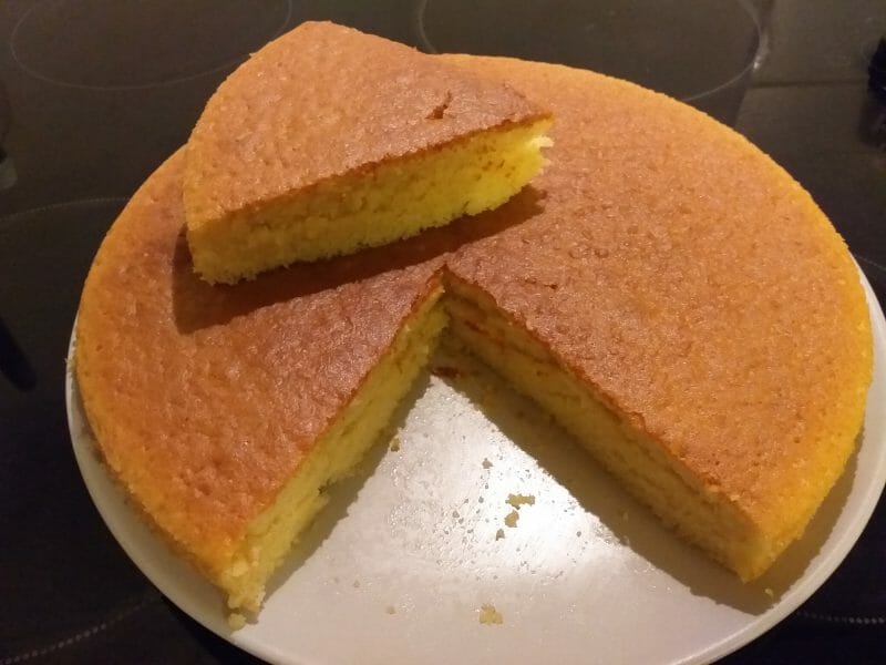 Cliquez pour zoomer ! Gâteau au yaourt Thermomix par Muriel