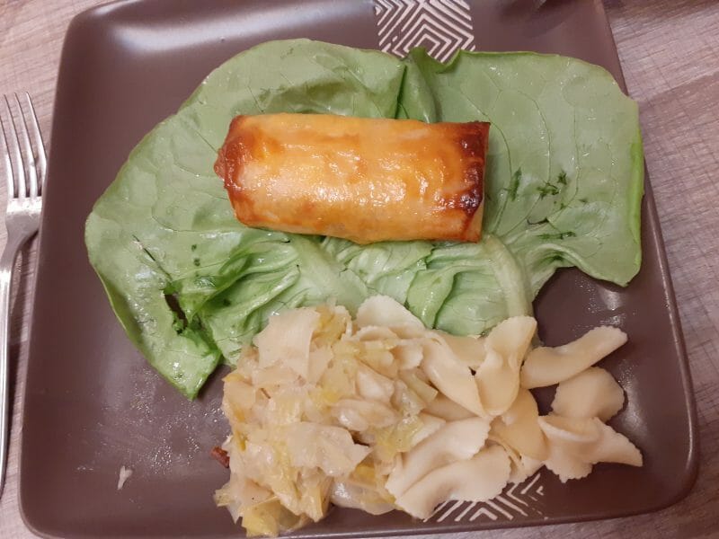 Cliquez pour zoomer ! Brick de saumon et poireaux Thermomix par jujuka