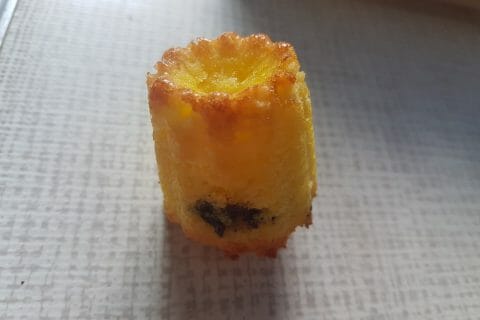 Cliquez pour zoomer ! Photo de sandrine_354