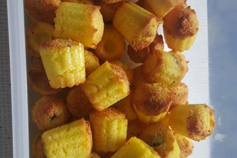 Cliquez pour zoomer ! Photo de sandrine_354