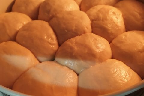 Cliquez pour zoomer ! Brioche Buchty Thermomix par titia66600_