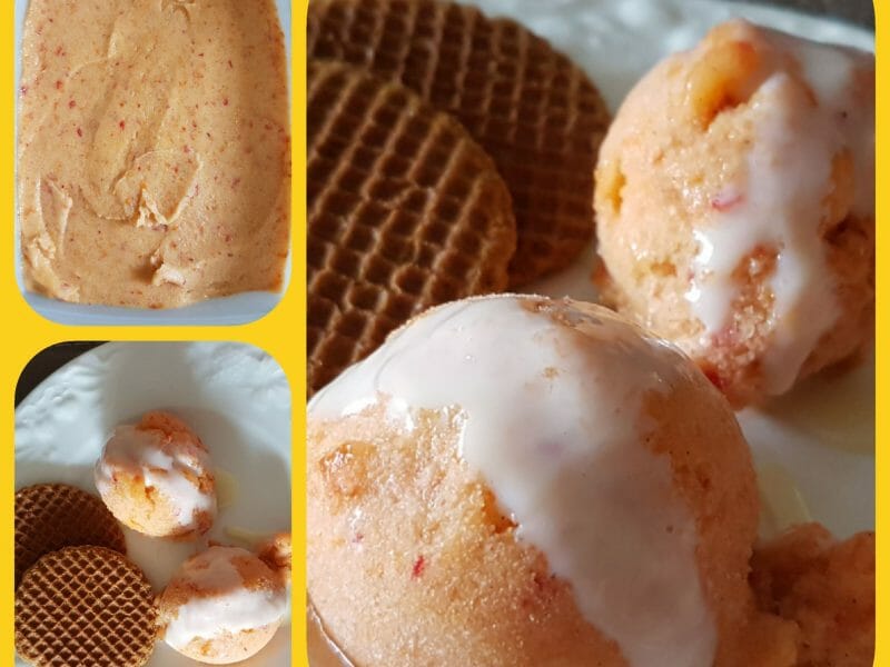 Cliquez pour zoomer ! Sorbet à l’abricot Thermomix par kath85