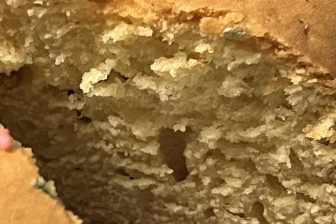 Cliquez pour zoomer ! Gâteau au yaourt Thermomix par wawa2020