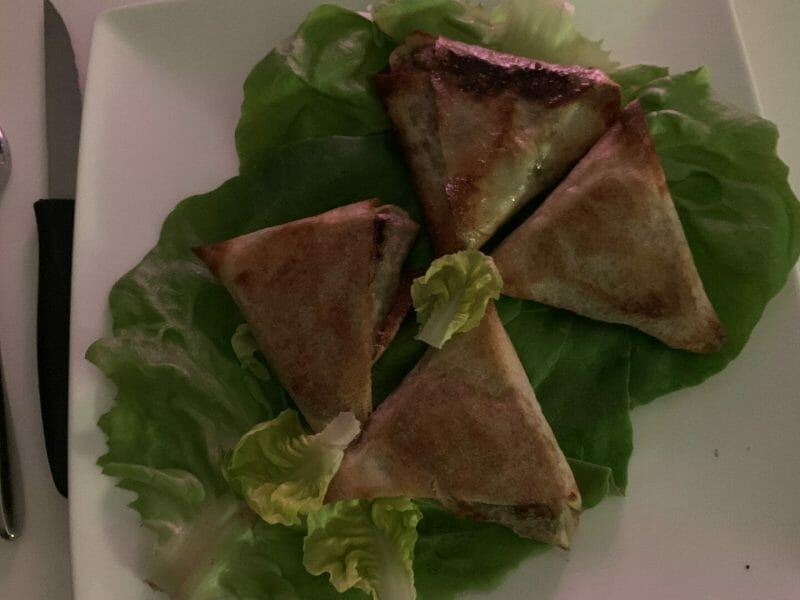 Cliquez pour zoomer ! Samoussa au boeuf Thermomix par sophie_367