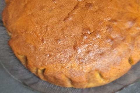 Cliquez pour zoomer ! Gâteau zébré Thermomix par carole2403