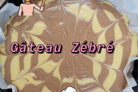 Cliquez pour zoomer ! Gâteau zébré Thermomix par carole2403